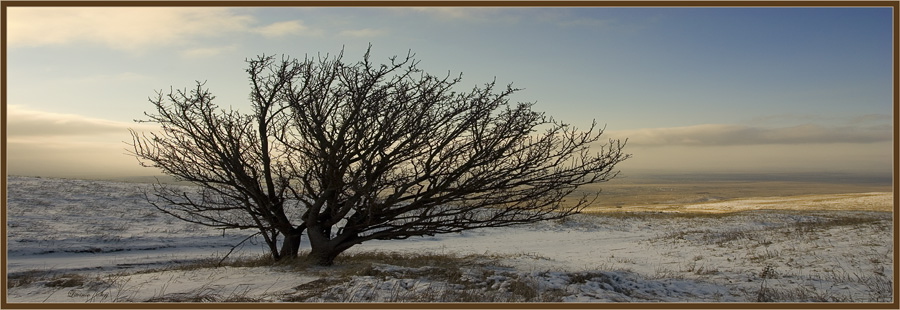 фото "***" метки: пейзаж, зима