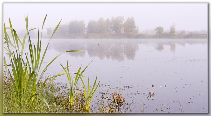 photo "***" tags: landscape, autumn, water