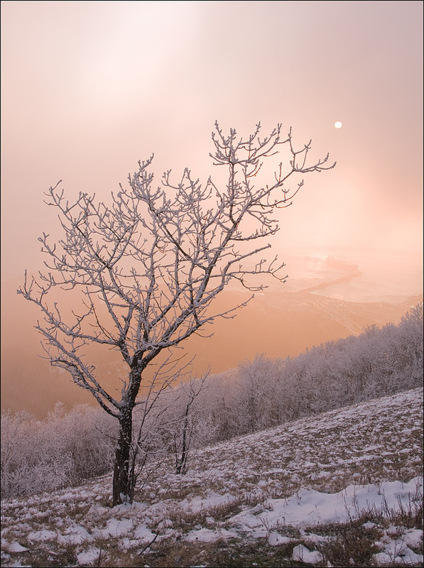 photo "***" tags: landscape, winter