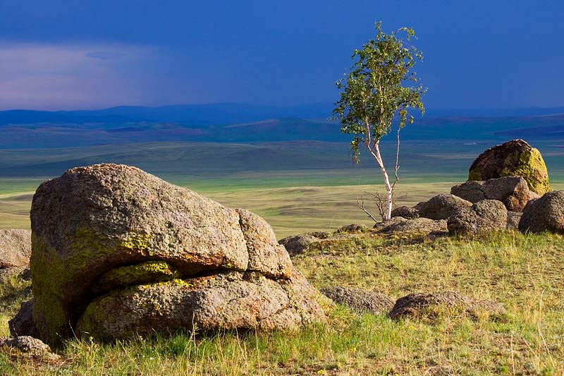 фото "В степях Бурятии" метки: пейзаж, лето