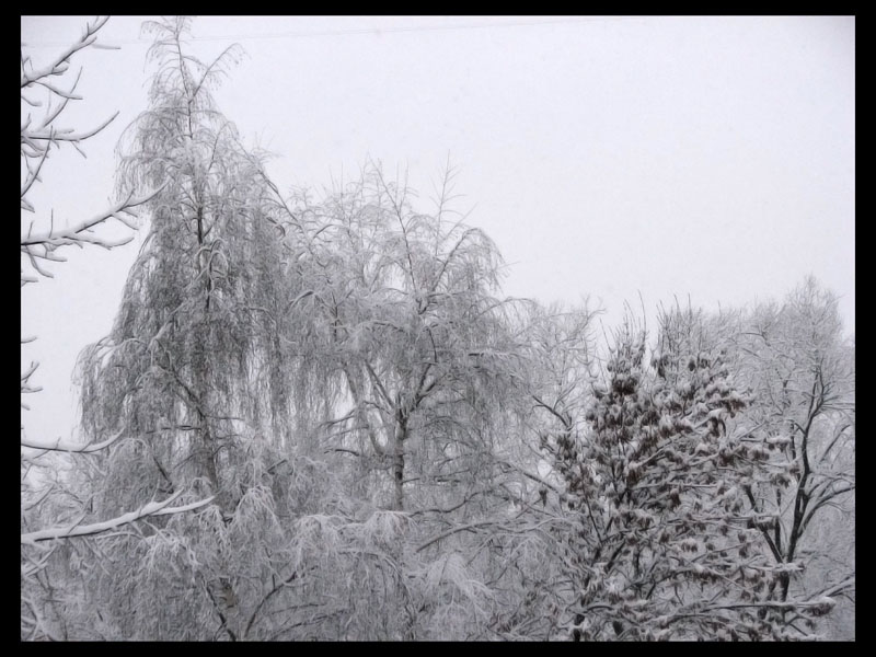 photo "***" tags: landscape, winter