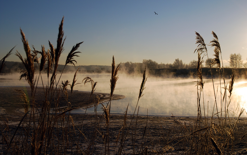 фото "Берег." метки: пейзаж, вода