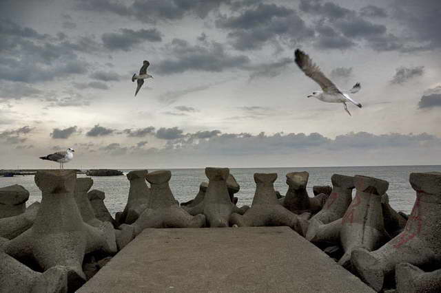 photo "Fly" tags: landscape, clouds