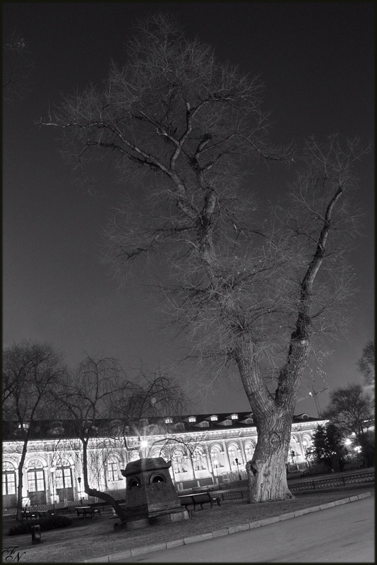 фото "Александровский сад" метки: черно-белые, 