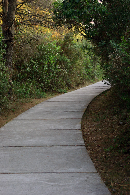 photo "Tight" tags: landscape, summer