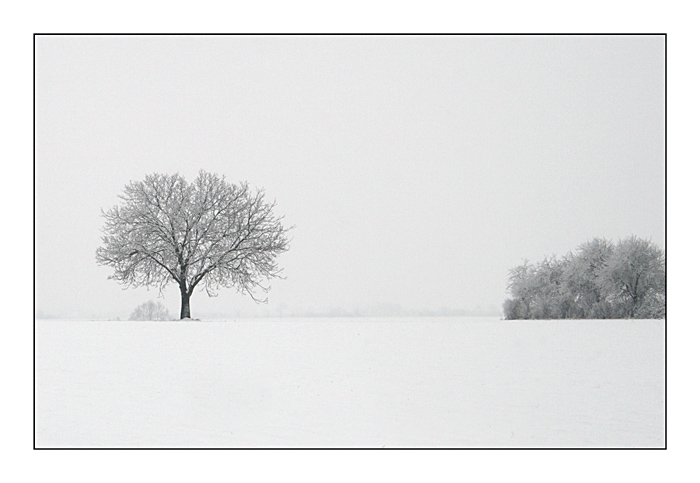 фото "***" метки: пейзаж, 