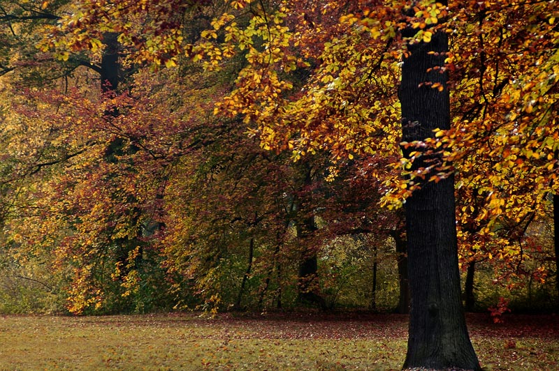 photo "United Colors of Berlin" tags: landscape, travel, Europe