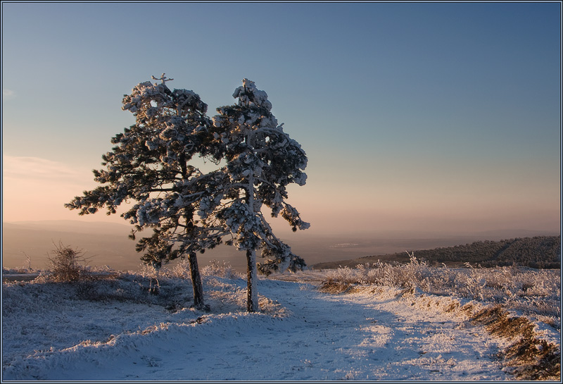 photo "***" tags: landscape, winter