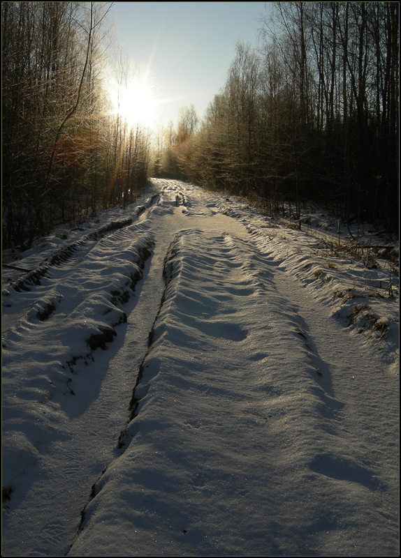 photo "***" tags: landscape, forest