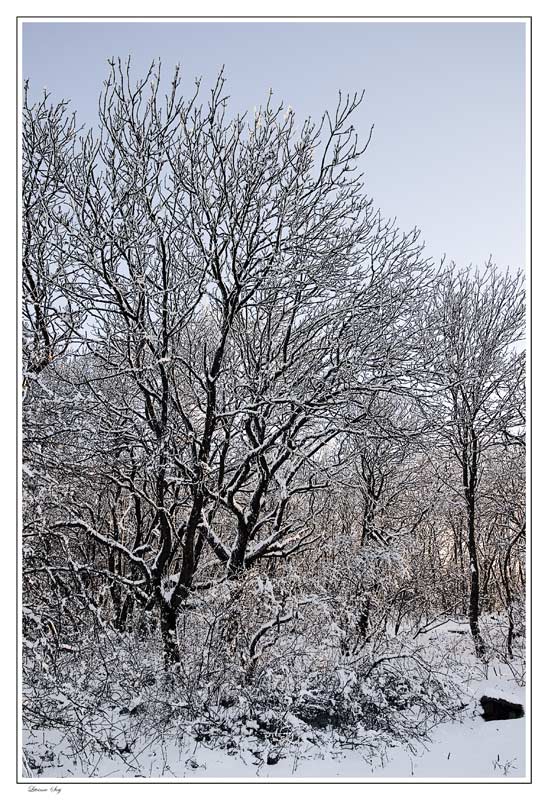 фото "***" метки: пейзаж, зима