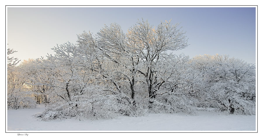 фото "***" метки: пейзаж, зима