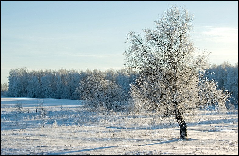 photo "Once the morning from home ..." tags: landscape, winter