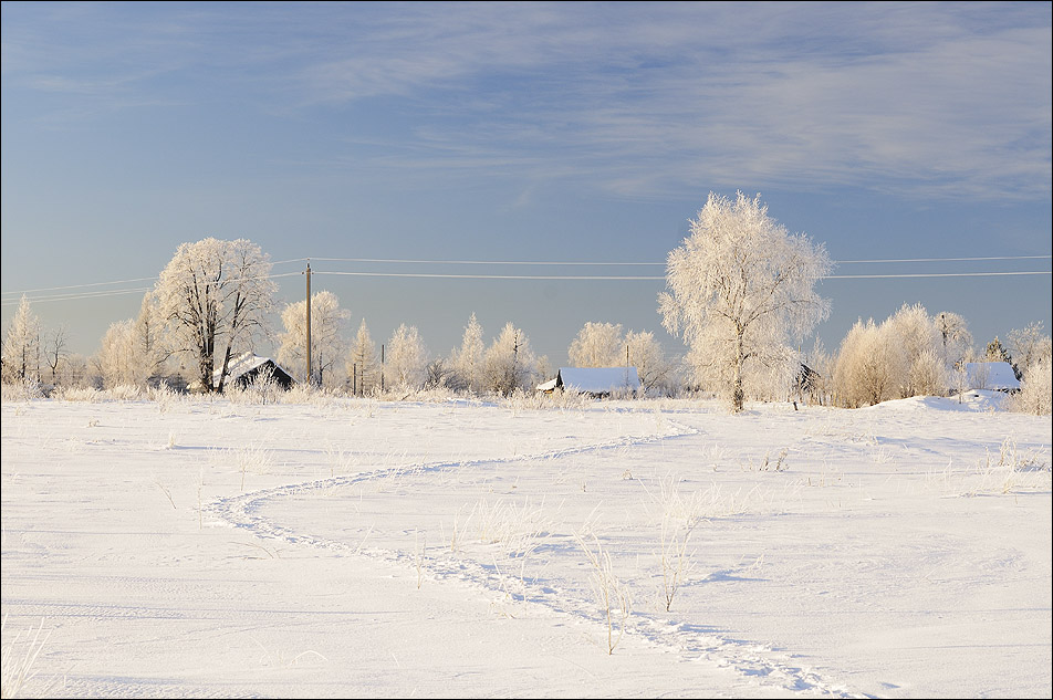 photo "Frozen ..." tags: landscape, winter