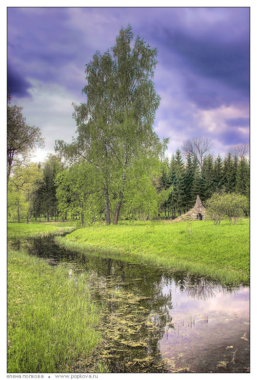 photo "Walk on old park in partnership with northern summer" tags: landscape, 