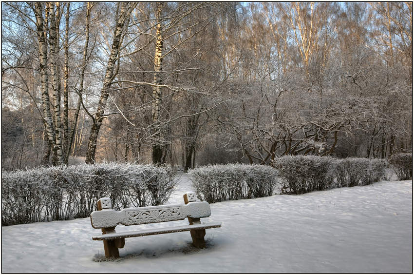 photo "Early morning in park" tags: landscape, forest, winter