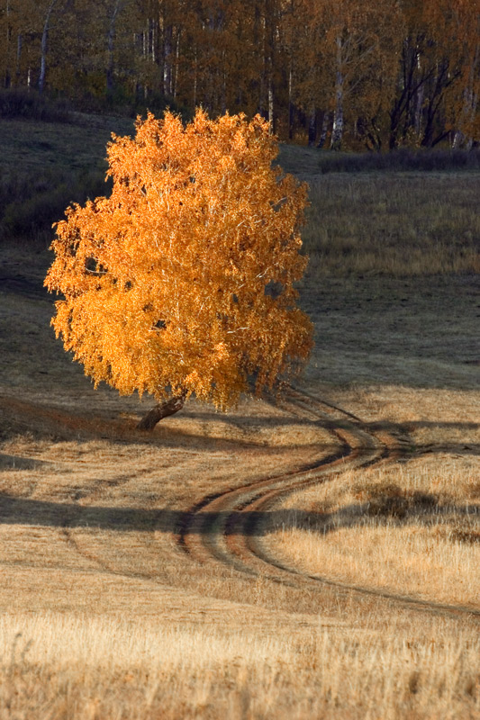 photo "***" tags: landscape, autumn