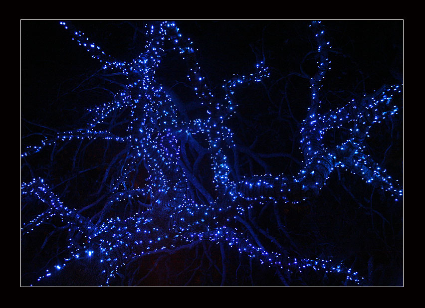 photo "lights blue" tags: misc., 