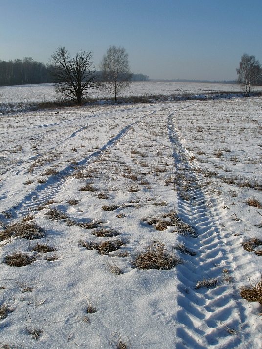 photo "***" tags: landscape, winter