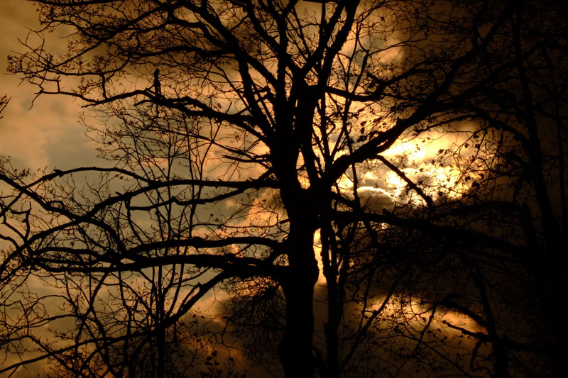 фото "darkness" метки: пейзаж, абстракция, облака