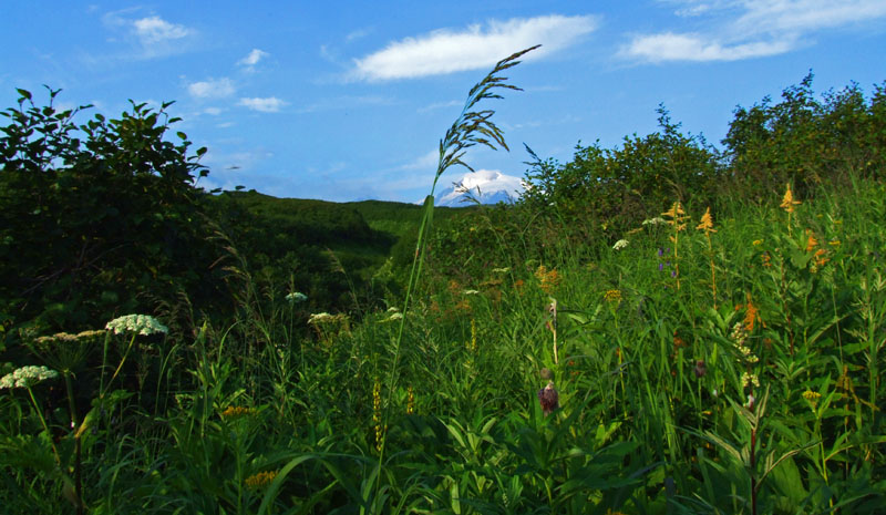 photo "***" tags: landscape, summer