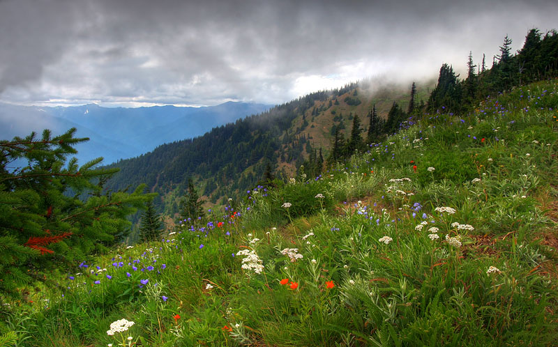 photo "Gloomy Cold Day" tags: landscape, travel, mountains