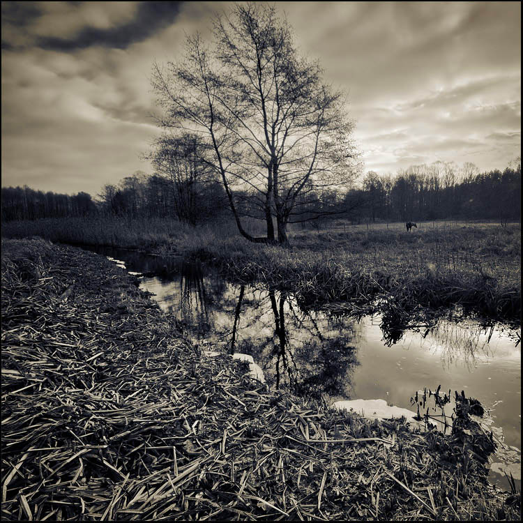 photo "* * *" tags: landscape, clouds