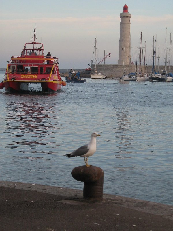 photo "as a bodyguard o the port..." tags: landscape, water