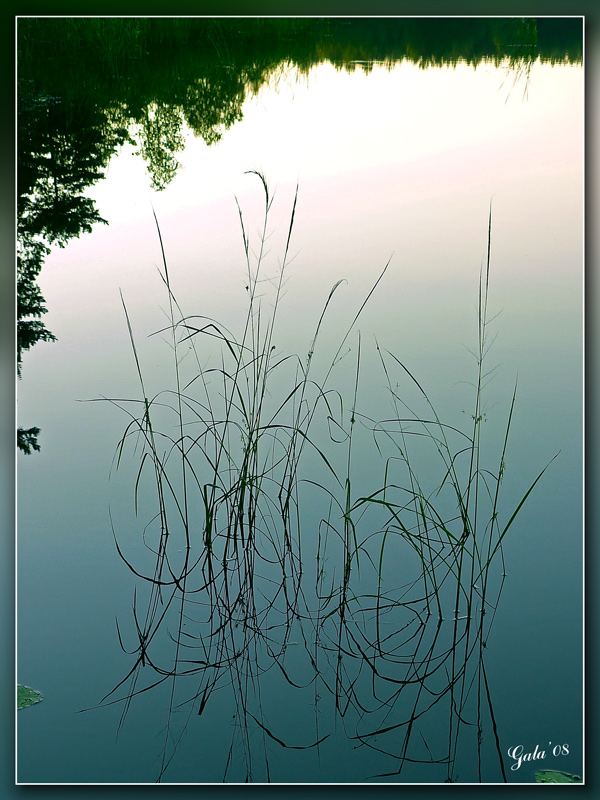 photo "The morning mirror" tags: landscape, summer, water