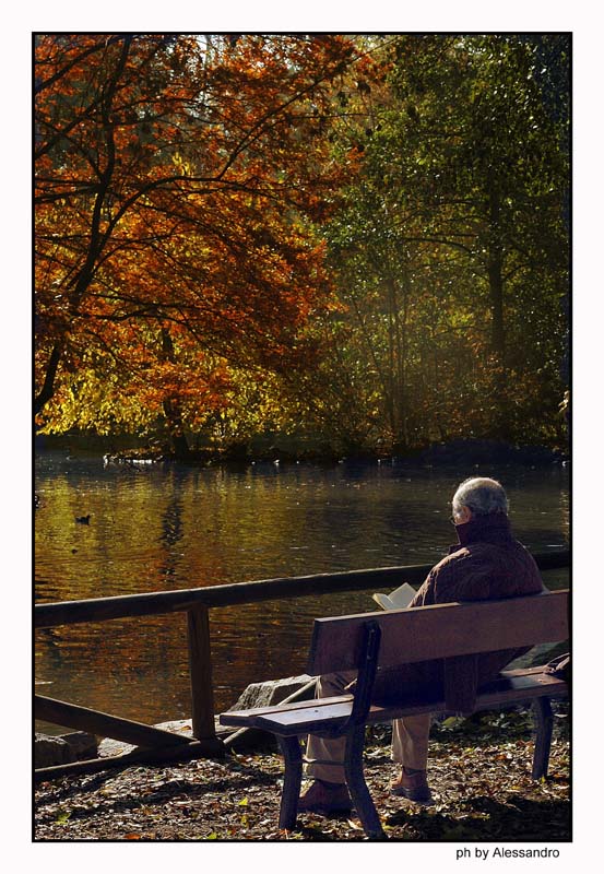 photo "park bench" tags: landscape, 