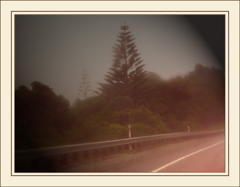 photo "Misty Highway" tags: landscape, 