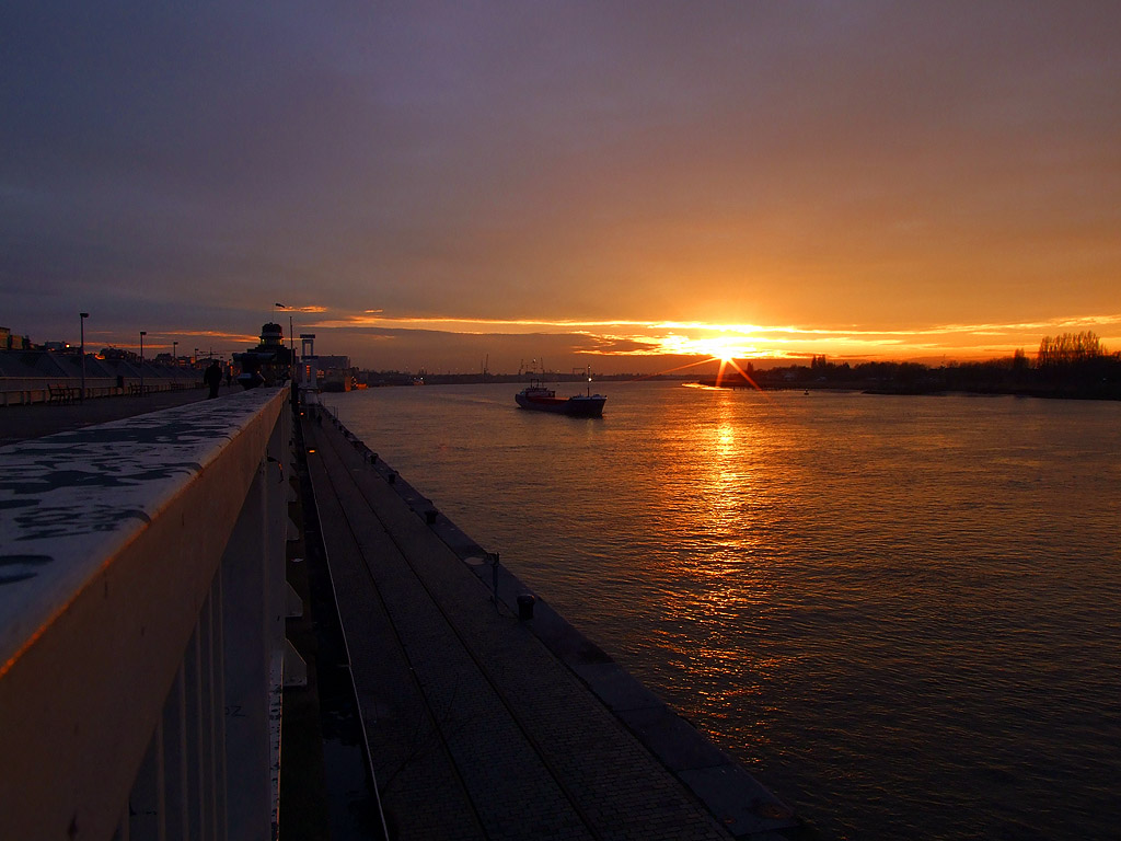 photo "Schelde" tags: landscape, water