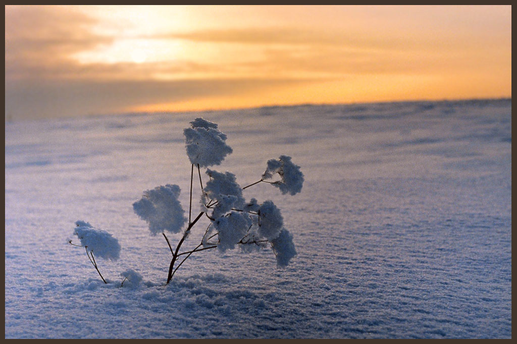 photo "Silence" tags: landscape, sunset, winter