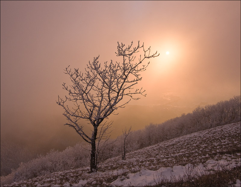 photo "***" tags: landscape, winter