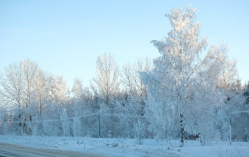 photo "Ice, roadside ..." tags: landscape, winter