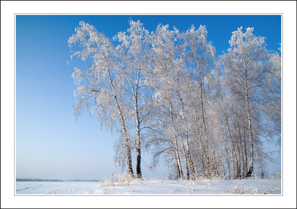 фото "Хрустальные" метки: пейзаж, зима