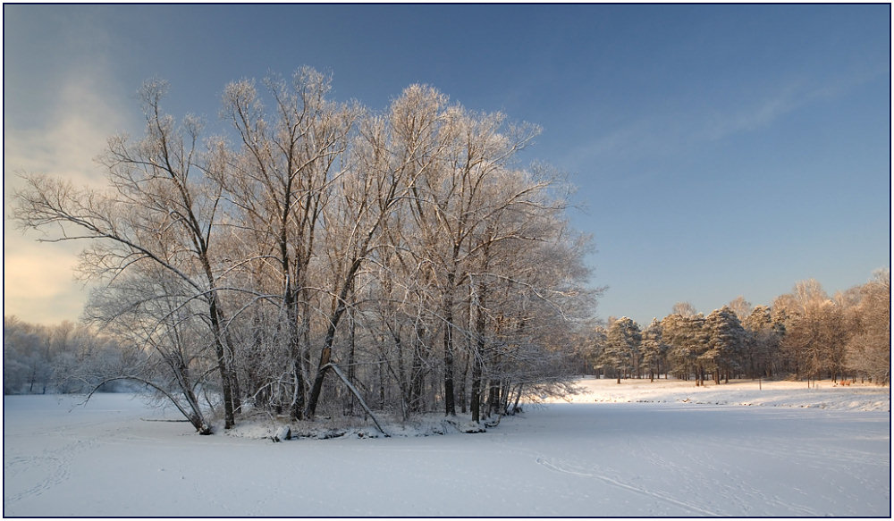 photo "Island" tags: landscape, forest, winter