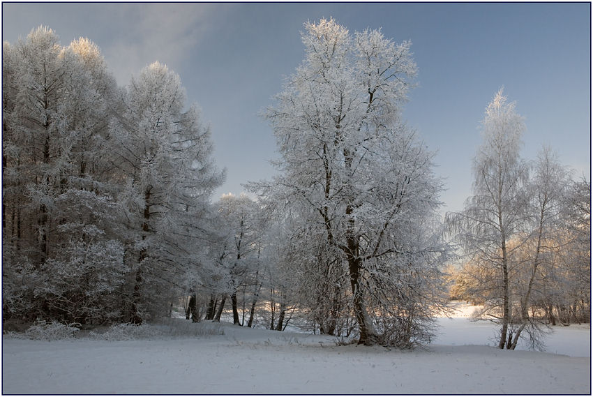 фото "Пушистая зима" метки: пейзаж, зима, лес