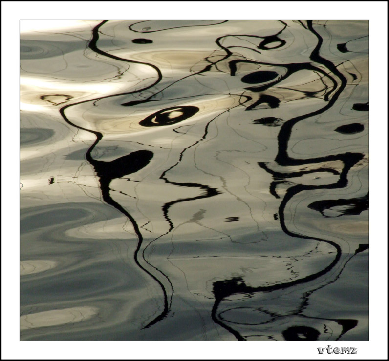 фото "Lady Reflection and friends..." метки: юмор, 