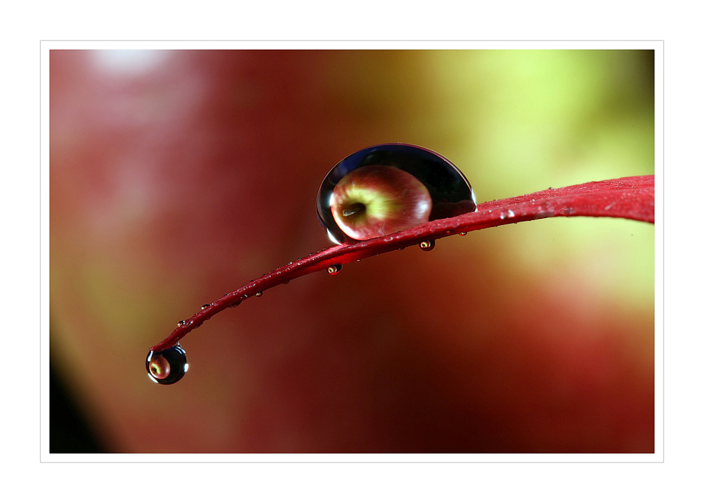 photo "lights and water" tags: nature, 