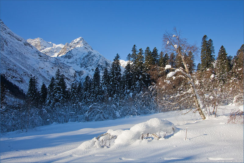 фото "Прогулка в Зиму" метки: пейзаж, зима