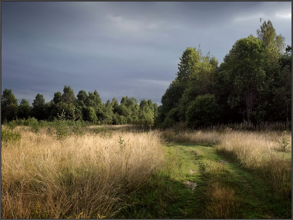 photo "End of August" tags: landscape, summer