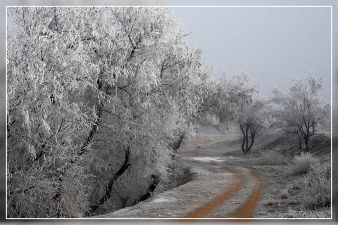 photo "***" tags: landscape, winter