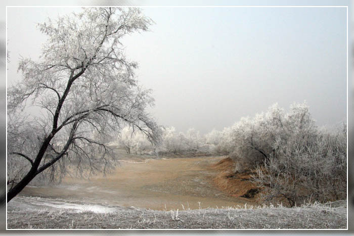 photo "***" tags: landscape, winter