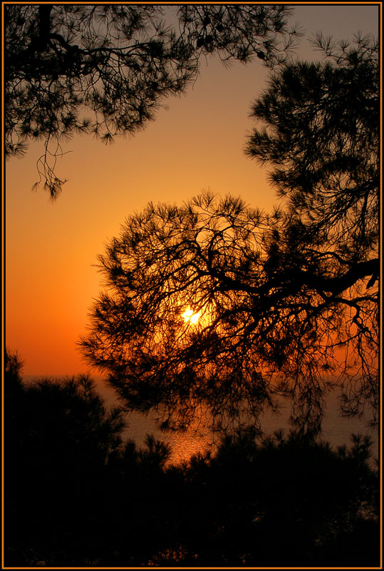 photo "***" tags: landscape, sunset, water