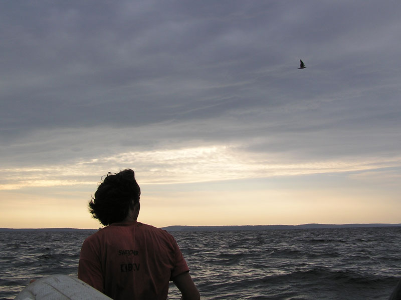 photo "***" tags: portrait, landscape, man, water