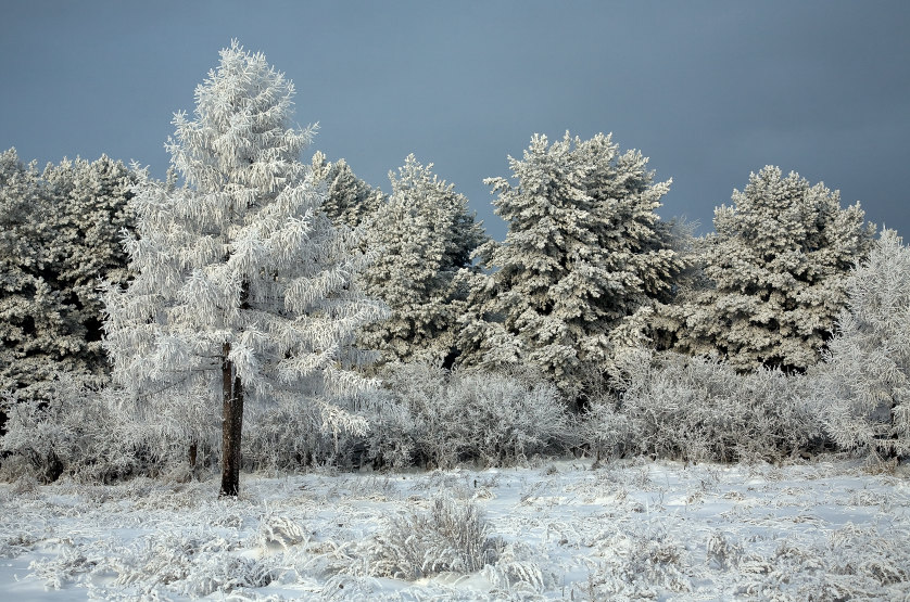 photo "***" tags: landscape, winter