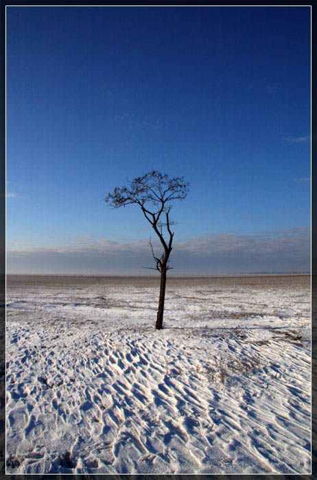 фото "Одиночество..." метки: пейзаж, зима