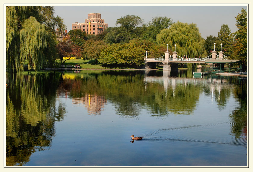 photo "***" tags: city, landscape, water