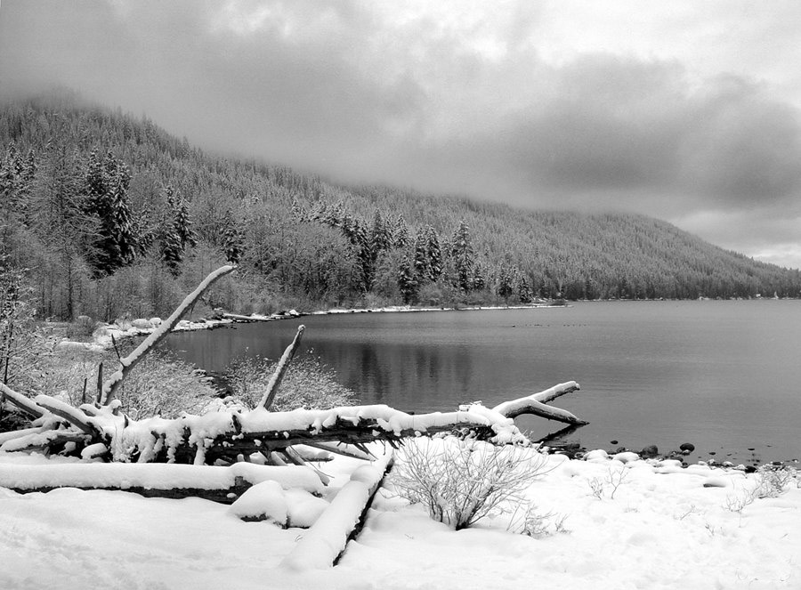 photo "Snow and Fog" tags: landscape, black&white, winter