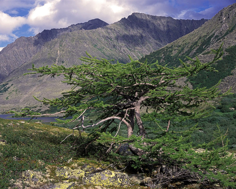 photo "***" tags: landscape, mountains